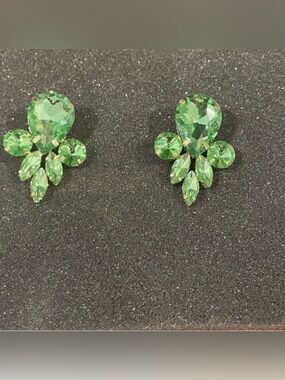 Elegant Green Gemstone Earrings!
New Without Tag! NWT!